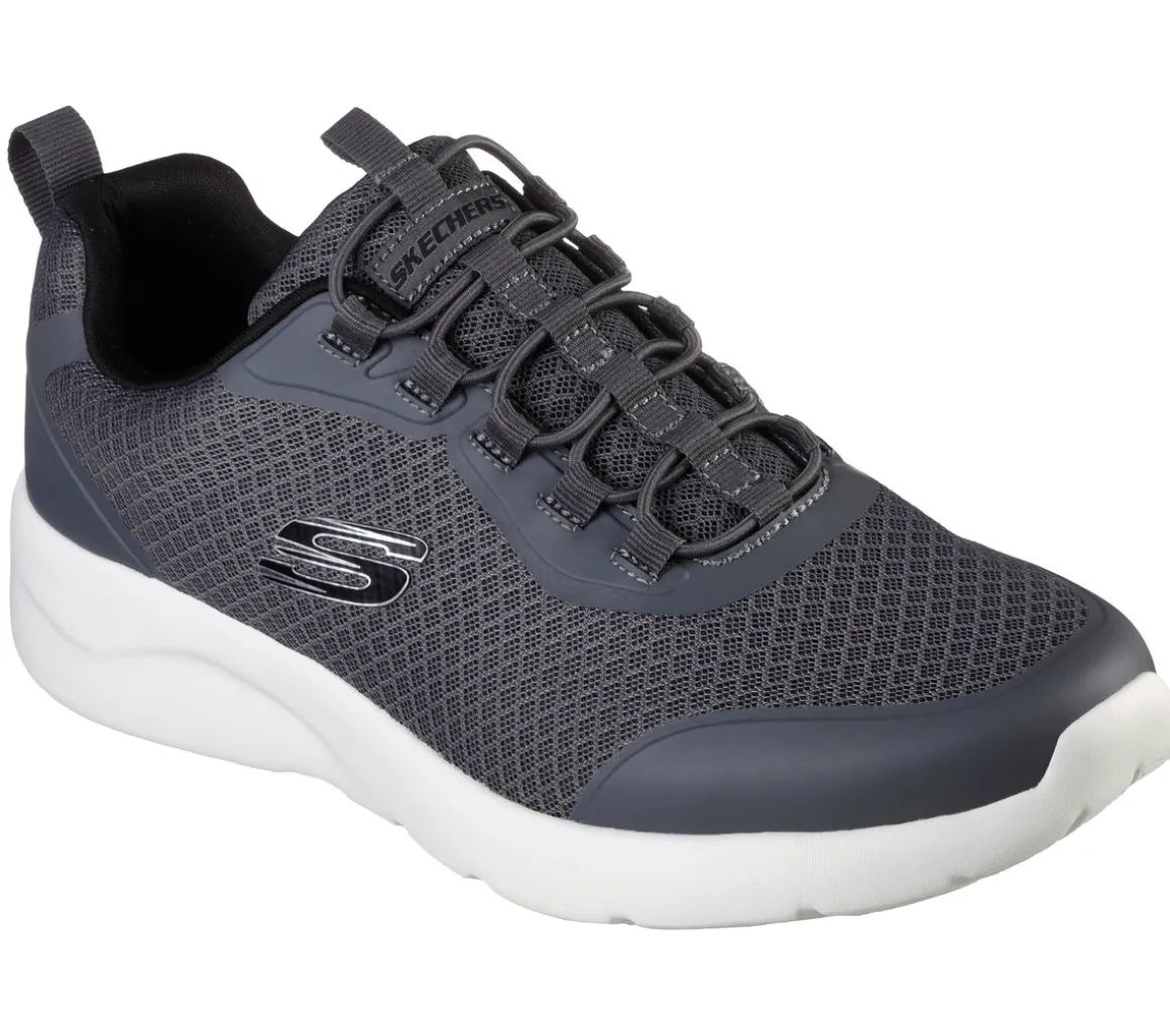 Dynamight 2.0 - Setner