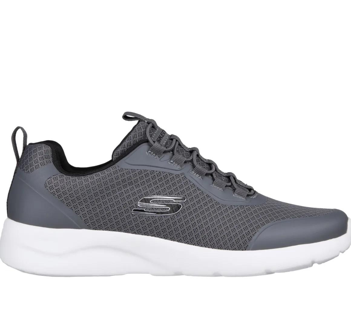 Dynamight 2.0 - Setner